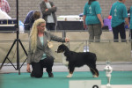 Dailo's Black Label 1ste very promissing puppy and 6 best puppy in show